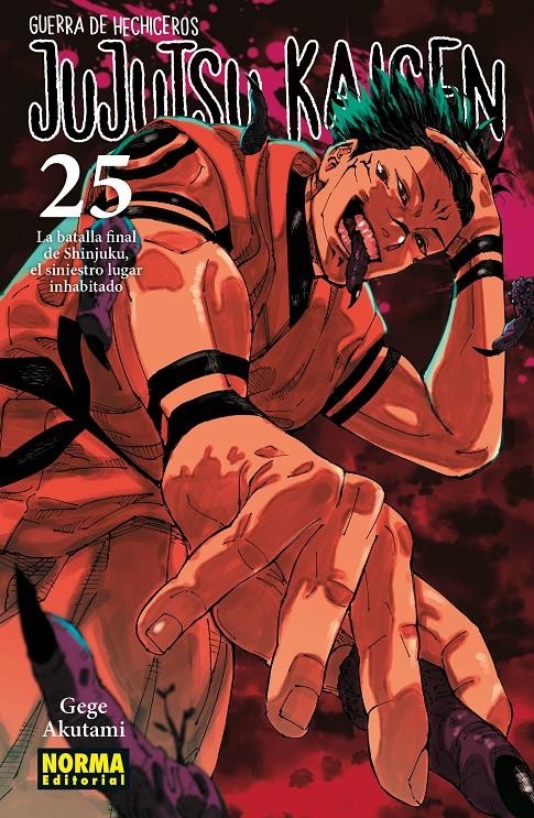 JUJUTSU KAISEN # 25 | 9788467971743 | GEGE AKUTAMI | Universal Cómics