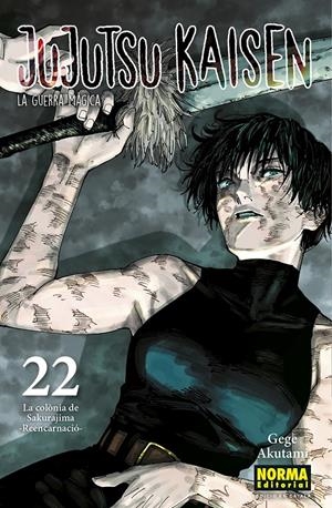 JUJUTSU KAISEN EDICIÓ EN CATALÀ # 22 | 9788467969948 | GEGE AKUTAMI | Universal Cómics