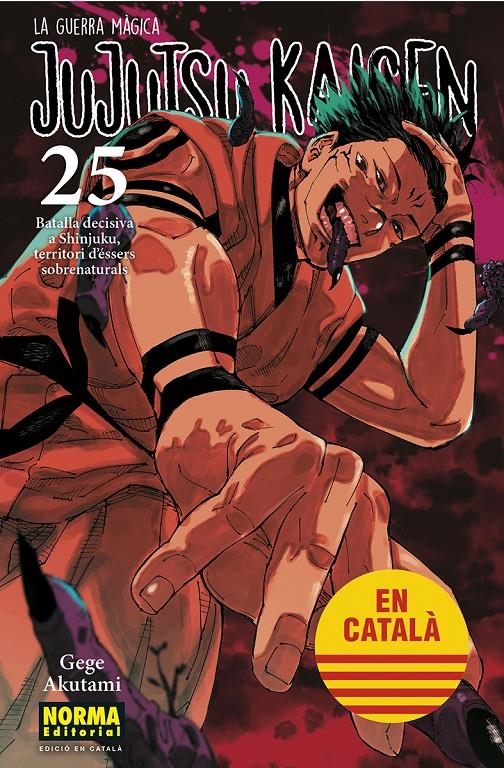 JUJUTSU KAISEN EDICIÓ EN CATALÀ # 25 | 9788467969979 | GEGE AKUTAMI | Universal Cómics