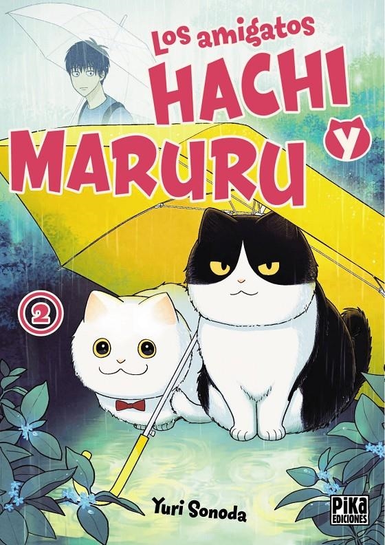 LOS AMIGATOS HACHI Y MARURU # 02 | 9782811699222 | YURI SONODA | Universal Cómics